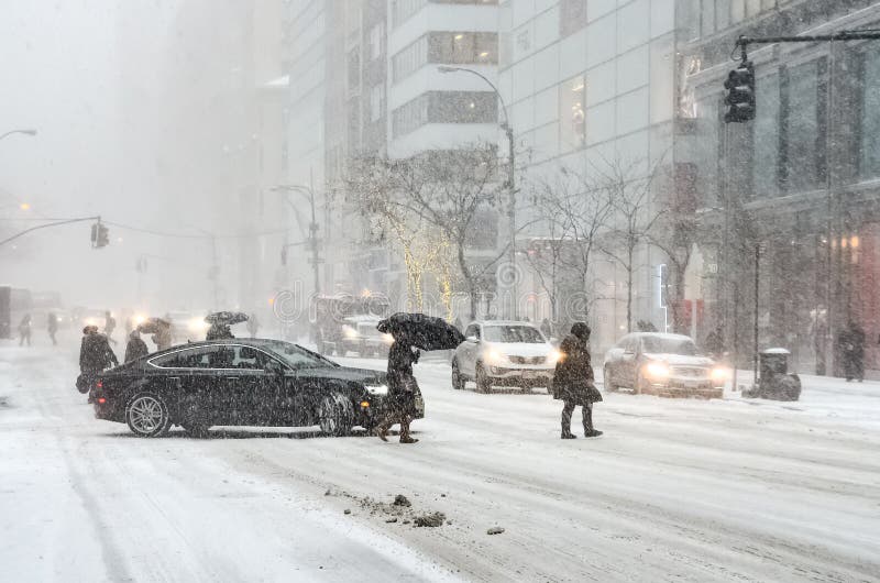 Surviving The Winter Elements
