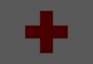 Bushcraft First Aid Kits