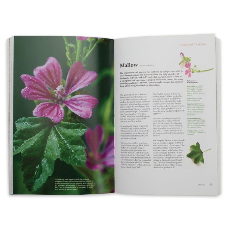 Backyard Medicine Handbook