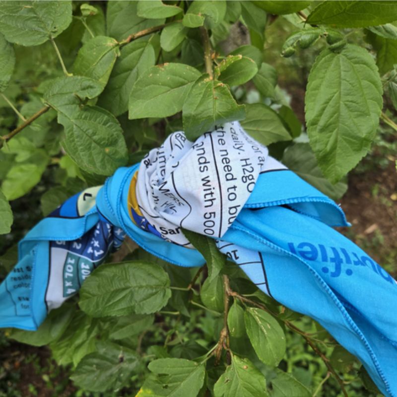 H2gO Bandana