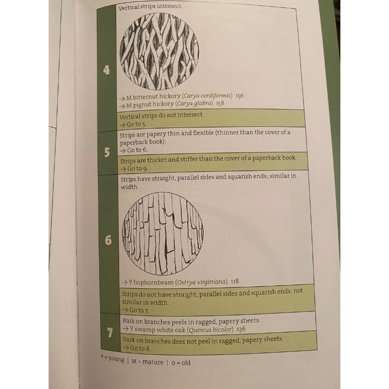 Bark: A Field Guide to Trees of the Northeast