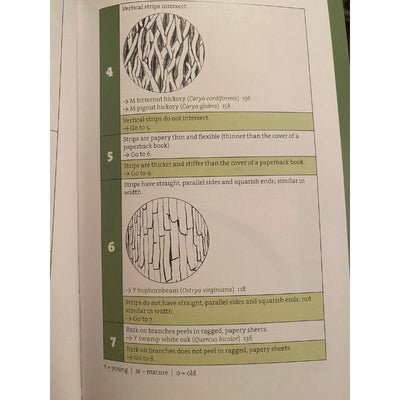 Bark: A Field Guide to Trees of the Northeast