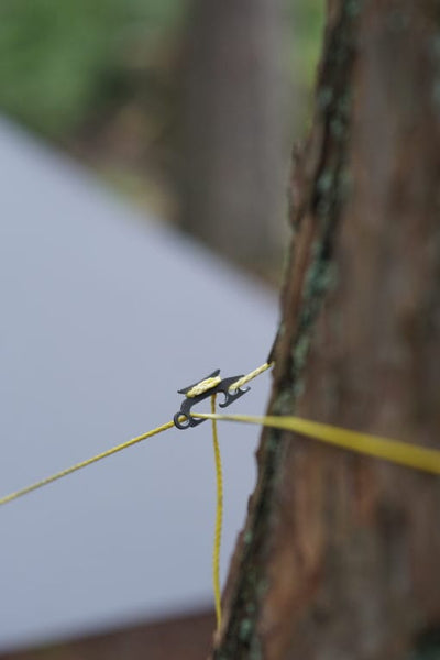 TarpTick (Single)