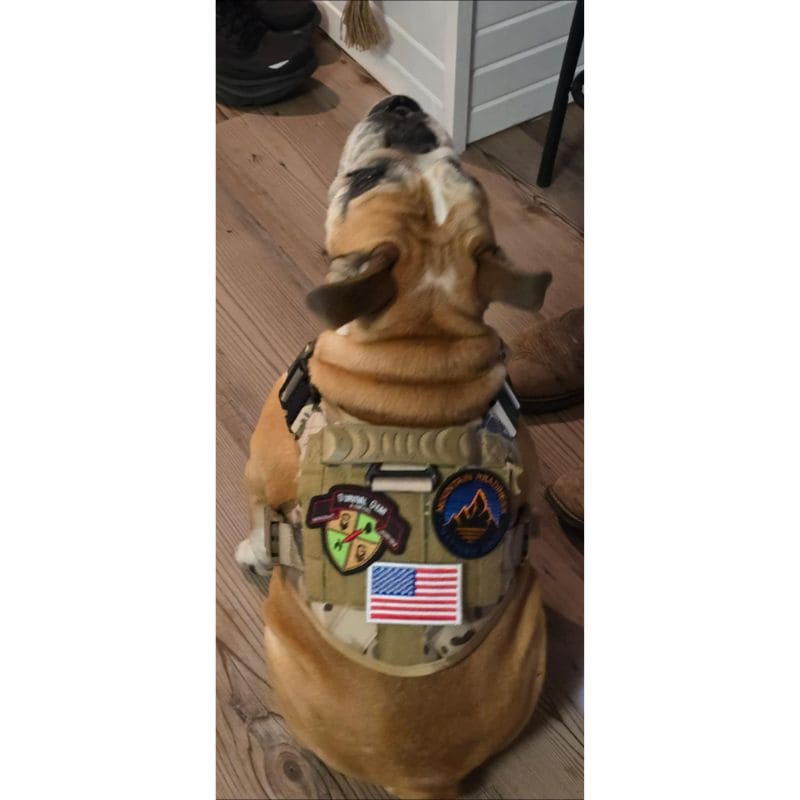 Tactical Dog Harness