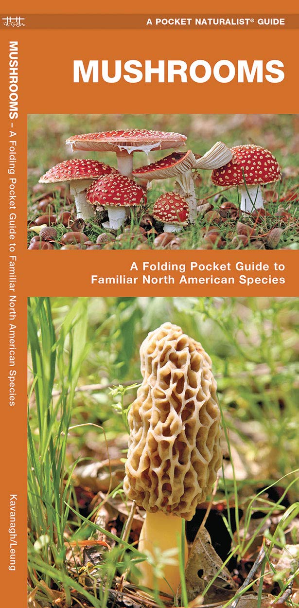 Mushrooms Guide (Laminated)