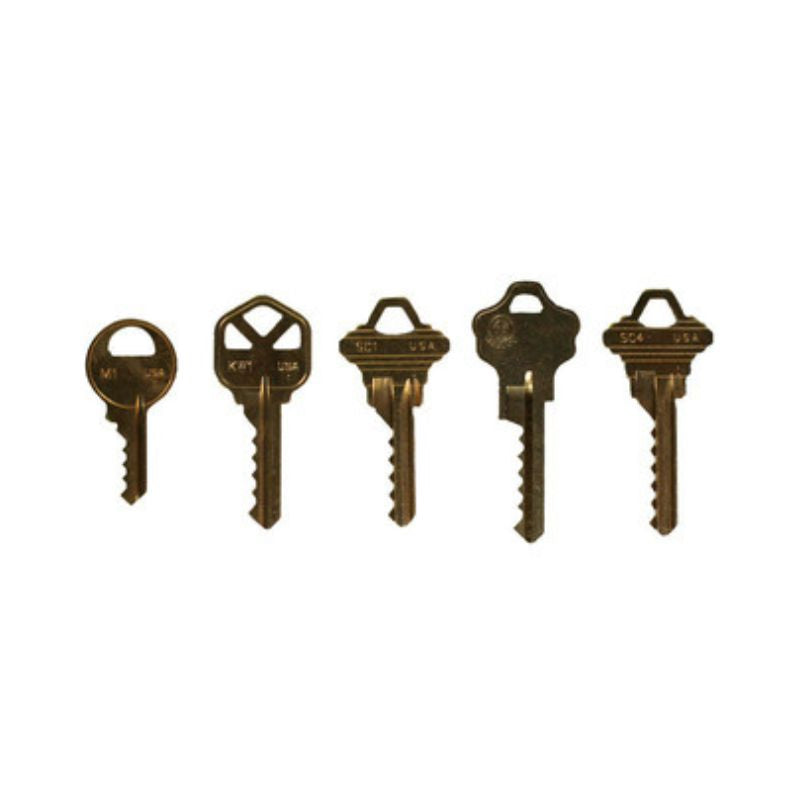 Bump Key Set | Lockpicking and EDC – Survival Gear BSO