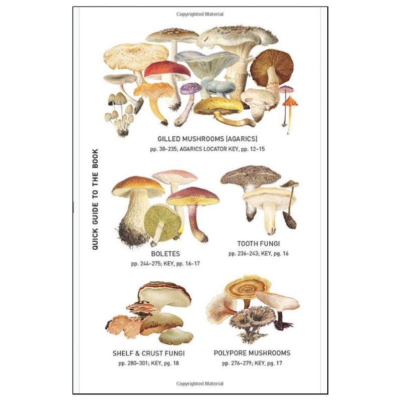 Peterson Field Guide To Mushrooms | Foraging and Homesteading
