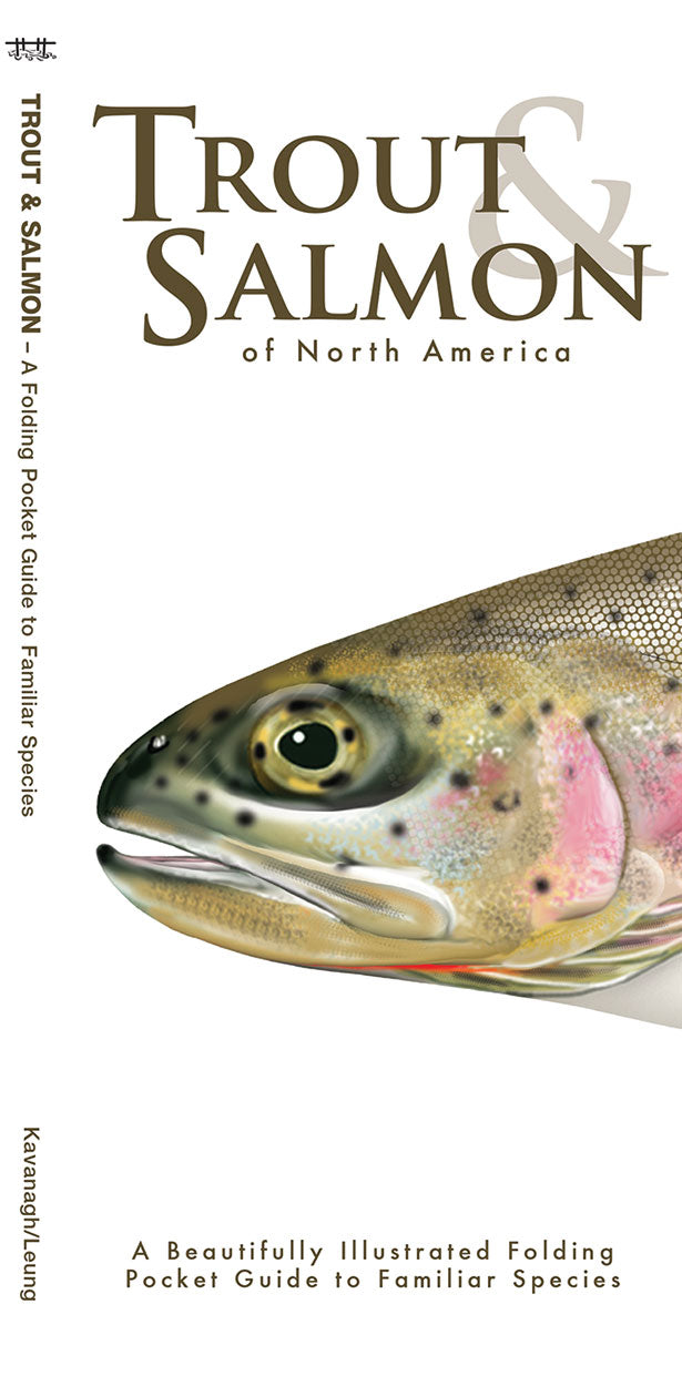 Trout & Salmon Guide