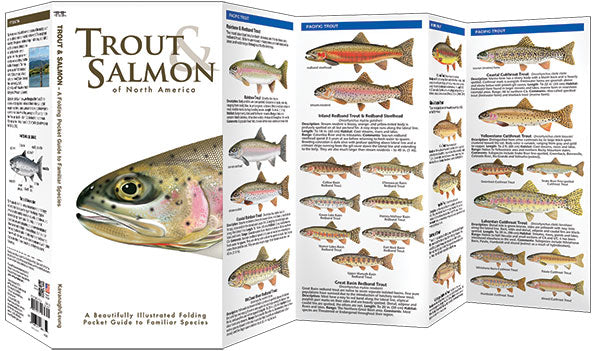Trout & Salmon Guide (Laminated)
