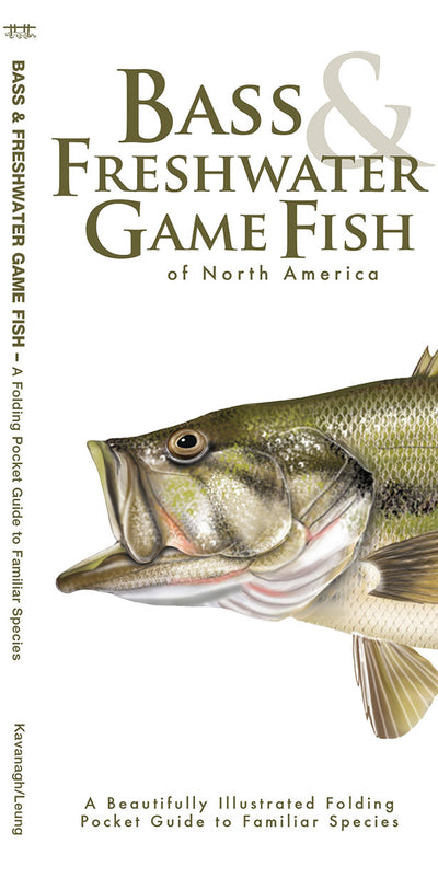 Bass & Freshwater Game Fish Of North America (Laminated)
