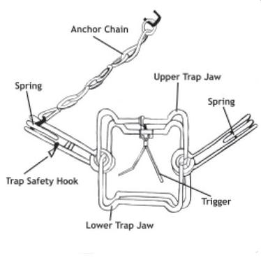 Belisle #160 Super X / Conibear Trap