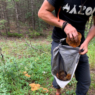 Wazoo Foraging Bandanet