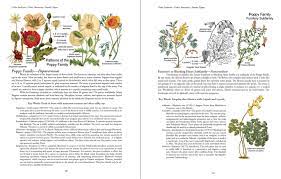 Botany In A Day | Plant Identification Book & Herbal Field Guide ...