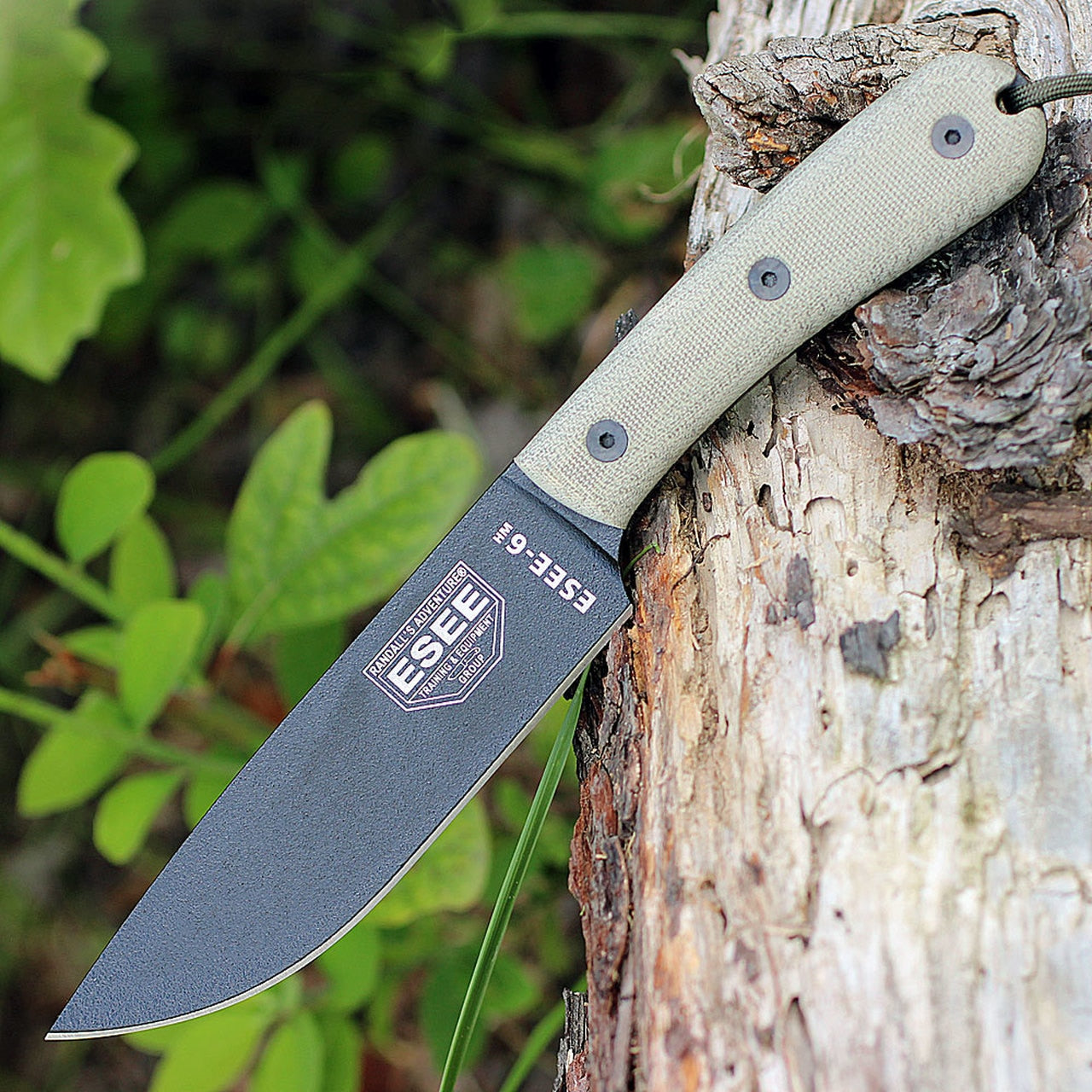 ESEE-6 Traditional Handle